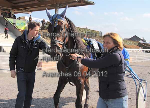 Heros Champ Ehr 1 prot